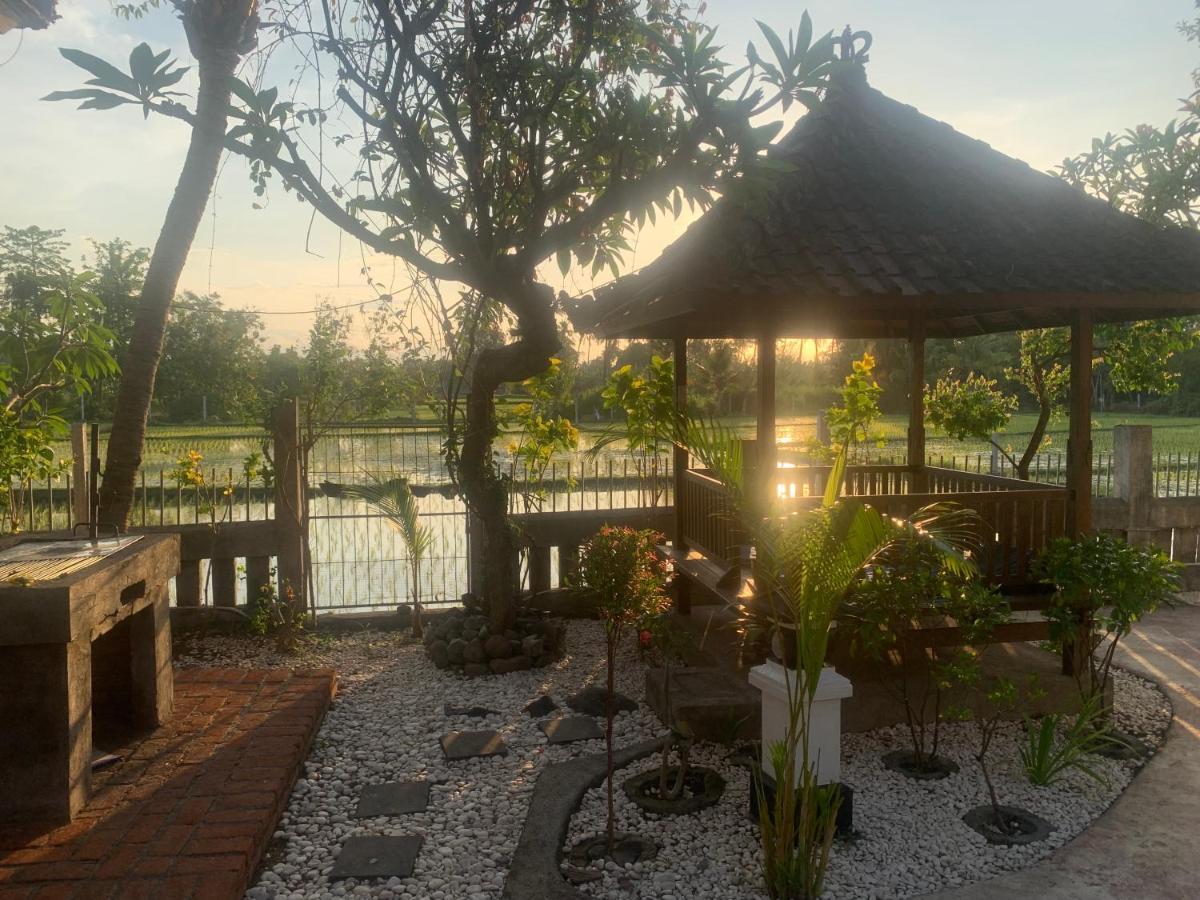 Lovina Vibes Hotel Balian 外观 照片