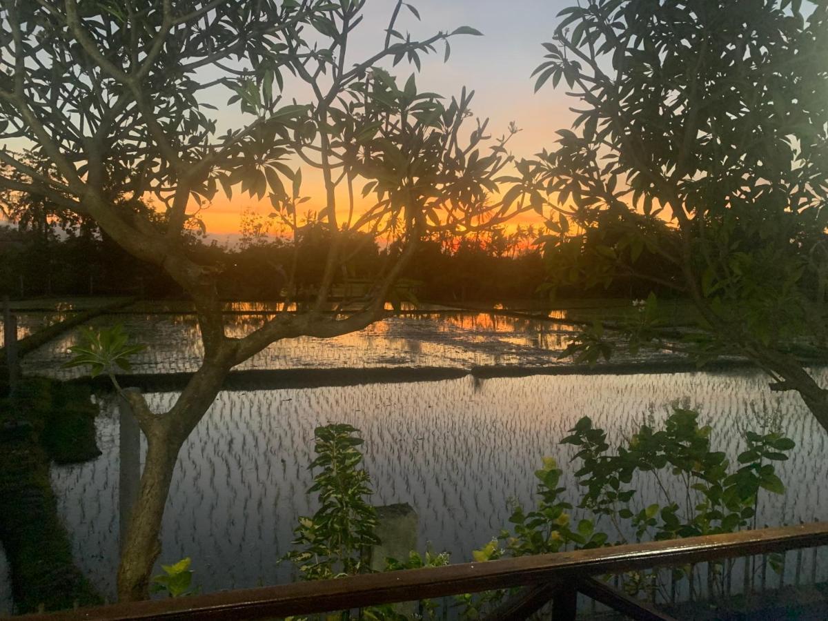 Lovina Vibes Hotel Balian 外观 照片